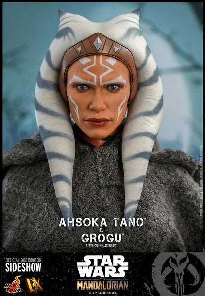 HOTTOYS DX21 AHSOKA TANO AND GROGU Sixth Scale Figure Set