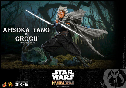 HOTTOYS DX21 AHSOKA TANO AND GROGU Sixth Scale Figure Set