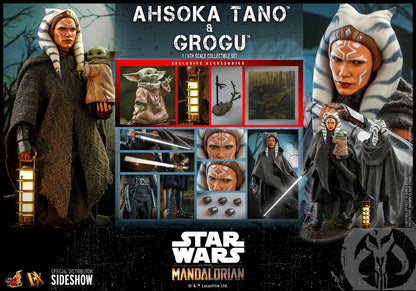 HOTTOYS DX21 AHSOKA TANO AND GROGU Sixth Scale Figure Set