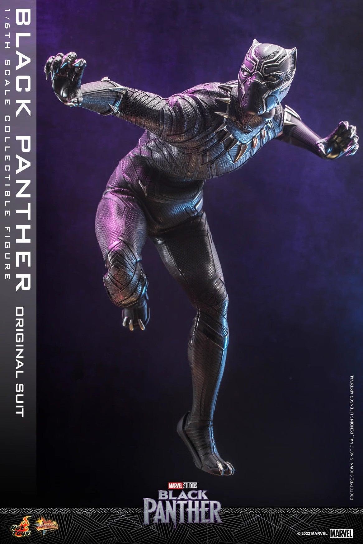 Hot Toys Marvel Black Panther Legacy 1/6 Scale Figure MMS671 - ToyFury