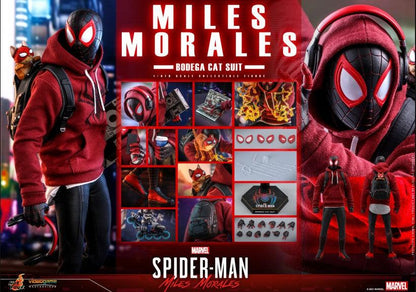 Hot Toys Miles Morales Bodega Cat Suit 1/6 Scale Action Figure MMS664 - ToyFury