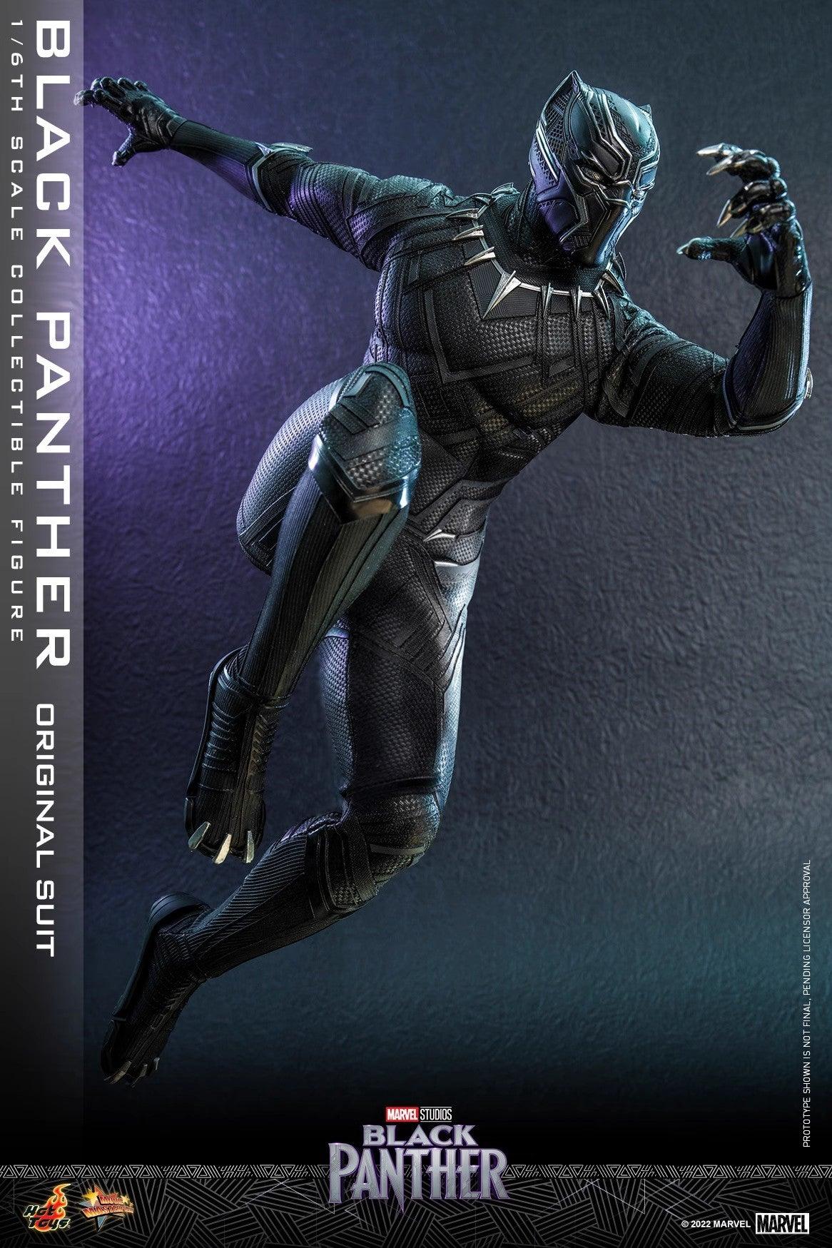 Hot Toys Marvel Black Panther Legacy 1/6 Scale Figure MMS671 - ToyFury