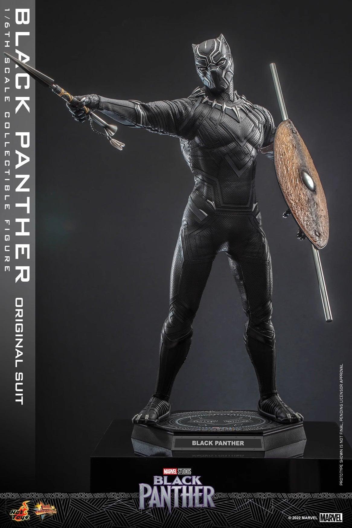 Hot Toys Marvel Black Panther Legacy 1/6 Scale Figure MMS671 - ToyFury