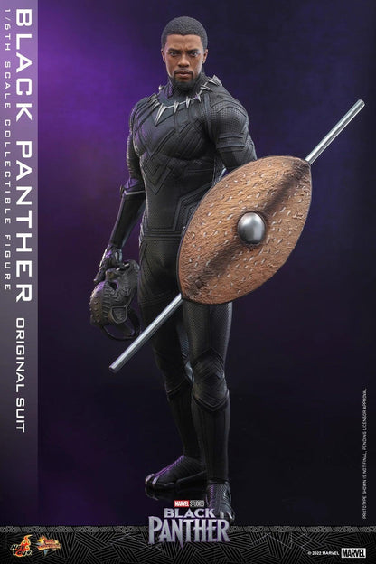 Hot Toys Marvel Black Panther Legacy 1/6 Scale Figure MMS671 - ToyFury