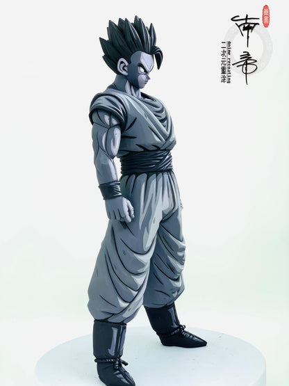 Dragon Ball Figure 2D Repainting Gos series Gohan - ToyFury