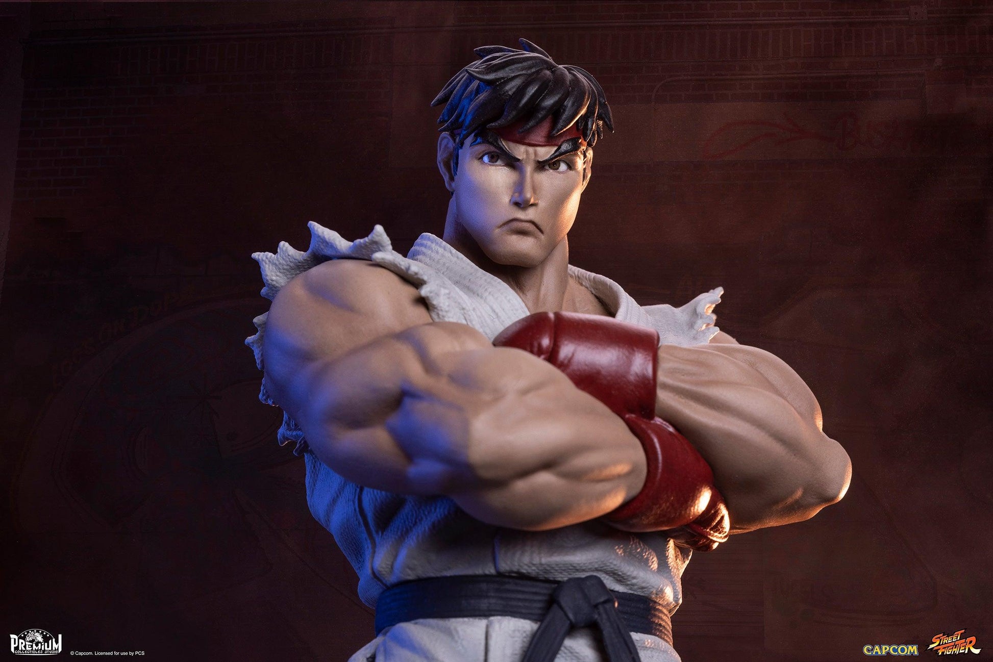 Sideshow x PCS Street Fighter RYU & DAN Collectible Set 906739 - ToyFury