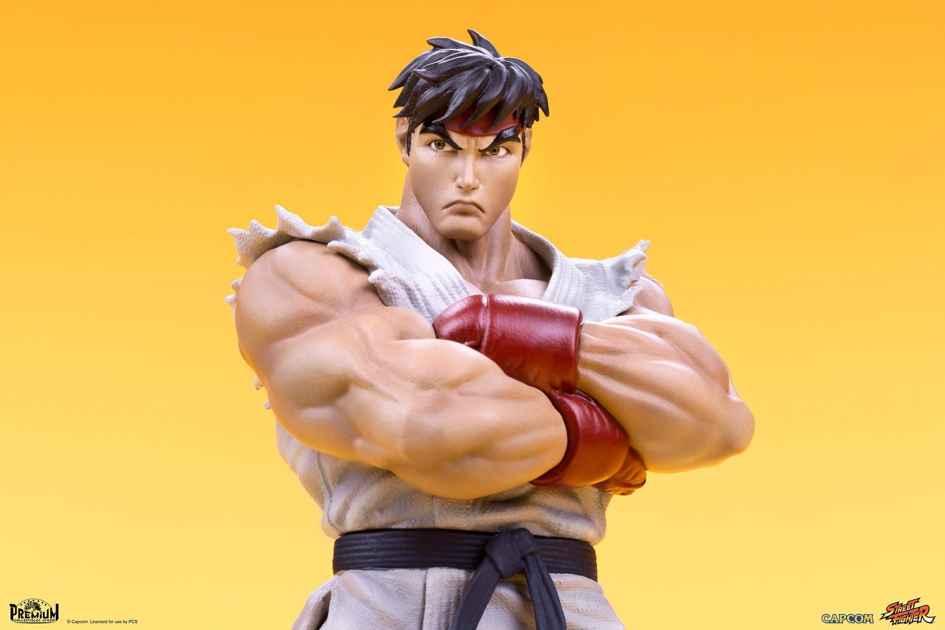 Sideshow x PCS Street Fighter RYU & DAN Collectible Set 906739 - ToyFury